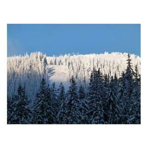 Guitar Picks and Craft Kits for Winter