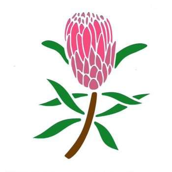 Protea Flower Stencil
