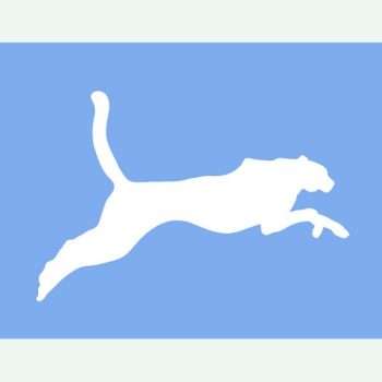 Wild Cat Stencil