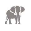 Small Elephant Stencil