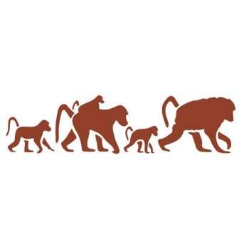 Baboons Stencil