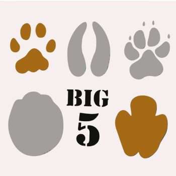 Big Five African Animal Spoor Stencil
