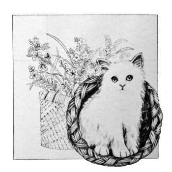 Cat Picture Trichem Vintage