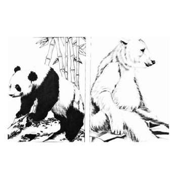 Bears of the World (1) - Trichem Vintage Picture