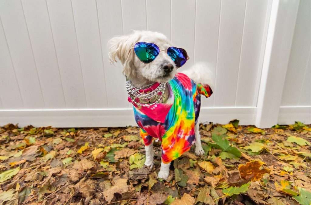 DIY Bling Clothing