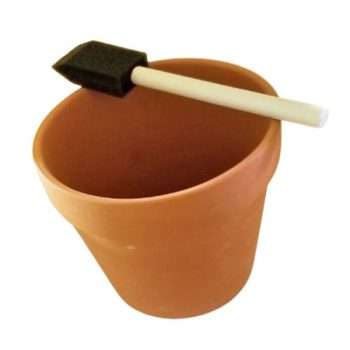 Fun Plant Pot Kit 6.4cm