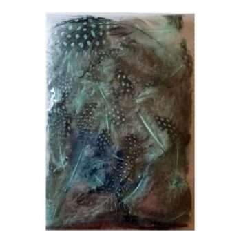 Peacock Craft Feathers