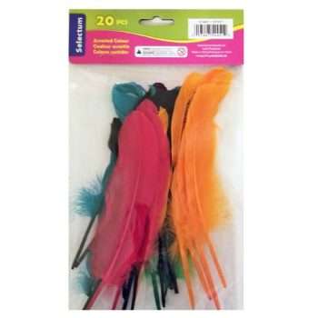 Decorative Craft Feathers