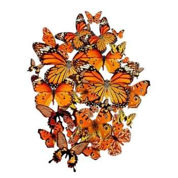 Colourful Craft Paper Butterflies