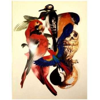 Multi-Coloured Bird Stickers