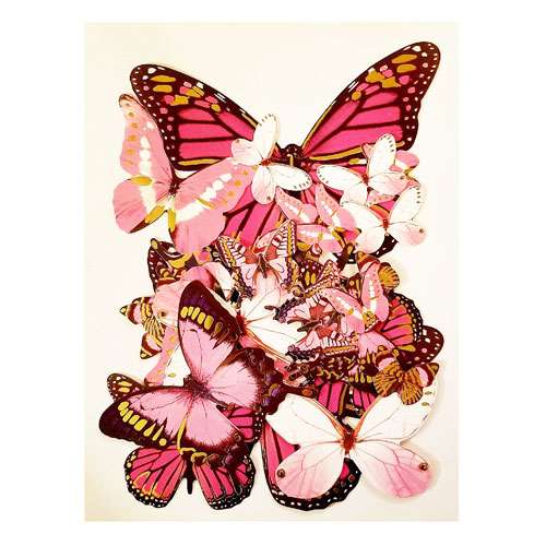 Pink Butterflies