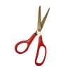 Craft Scissors