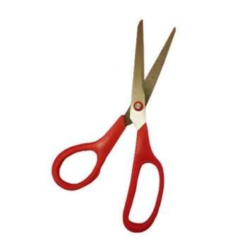 Craft Scissors