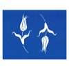 Trichem Tulip Spray Stencil