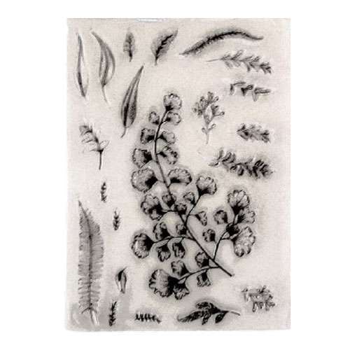 Clear Stamps Flowers and Ferns