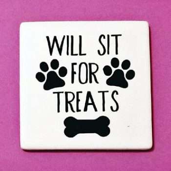 Fridge Magnet Will Sit for Treats