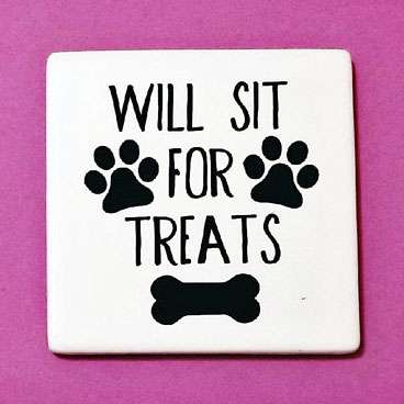 Fridge Magnet Will Sit for Treats