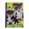 Colouring and Activity Book