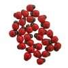 Ladybug Adhesive Embellishments