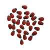 Small Ladybug Adhesive Embellishments