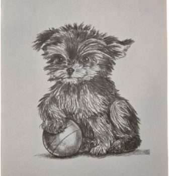 Trichem Playtime Puppy Picture