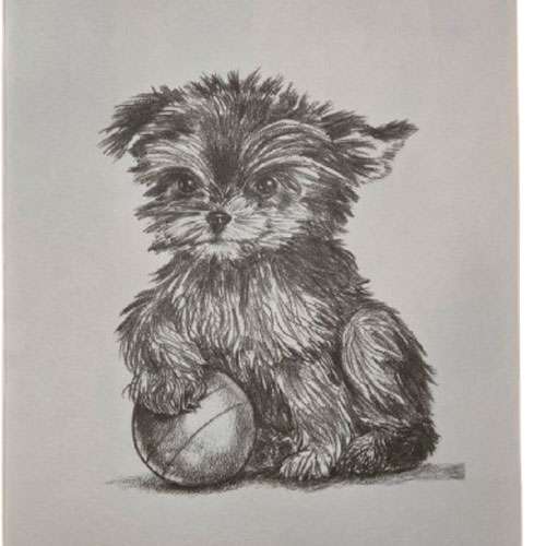 Trichem Playtime Puppy Picture