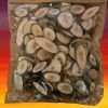 Willow Tiny Wood Slices