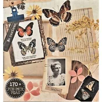 Flower and Butterfly Die-Cuts
