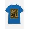 Trichem Hip Chicks Transfers