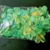 Green Shimmering Flower Petals