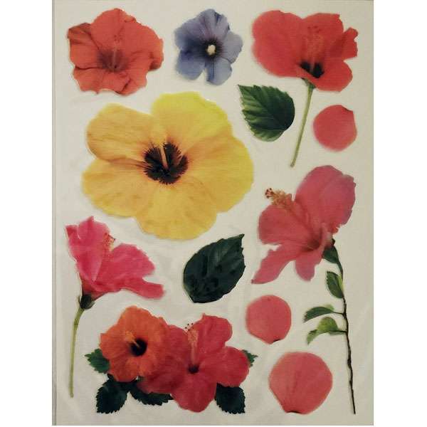 Hibiscus Colourful Flower Stickers