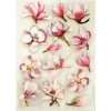 Magnolia Flower Sticker Sheet