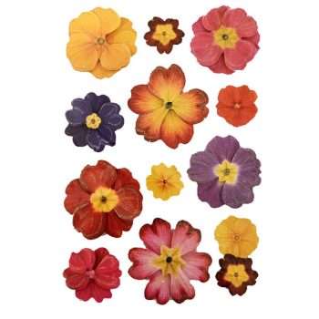 Primrose Flower Sticker Sheet