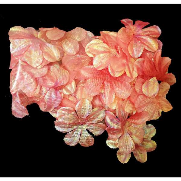 Pink Shimmering Flower Petals