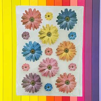 Daisy Flower Sticker Sheet