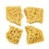 Faux Sea Sponge Pack