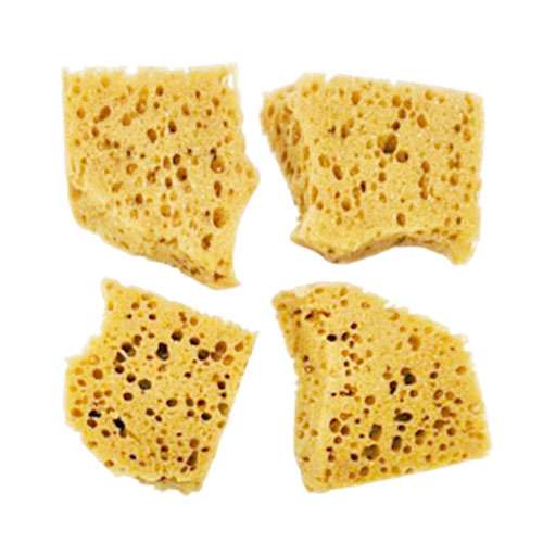 Faux Sea Sponge Pack