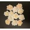 Pretty Paper Roses Pack