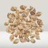 Babylon Craft Seashells Pack