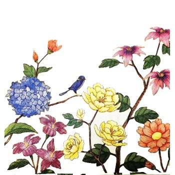Beautifully Illustrated Floral Napkins