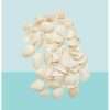White Shells Craft Kit
