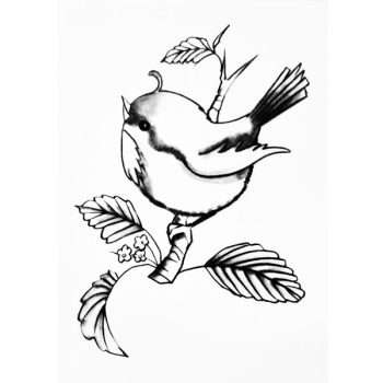 Trichem Blue Birds Picture 2
