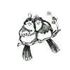 Trichem Blue Birds Picture 1