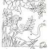 Trichem Jungle Elephant Picture