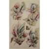 Botanical Flowers Stickers