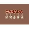Canada Magnet and Charms