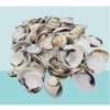 Clam Shells Pack - 335g