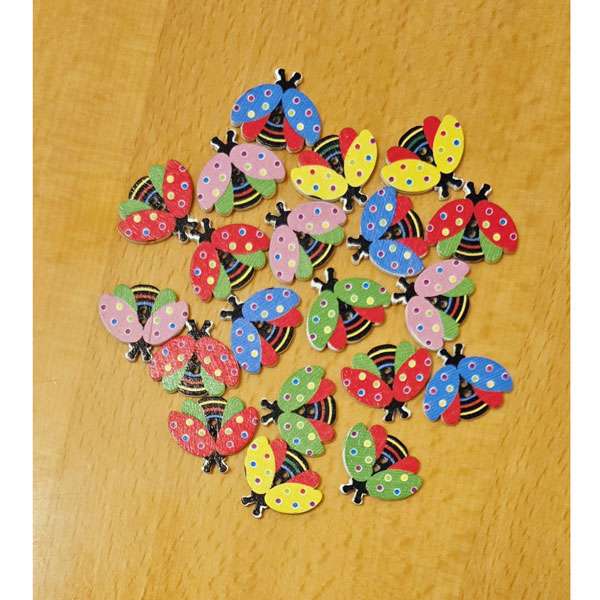 Lady Bird Wooden Buttons