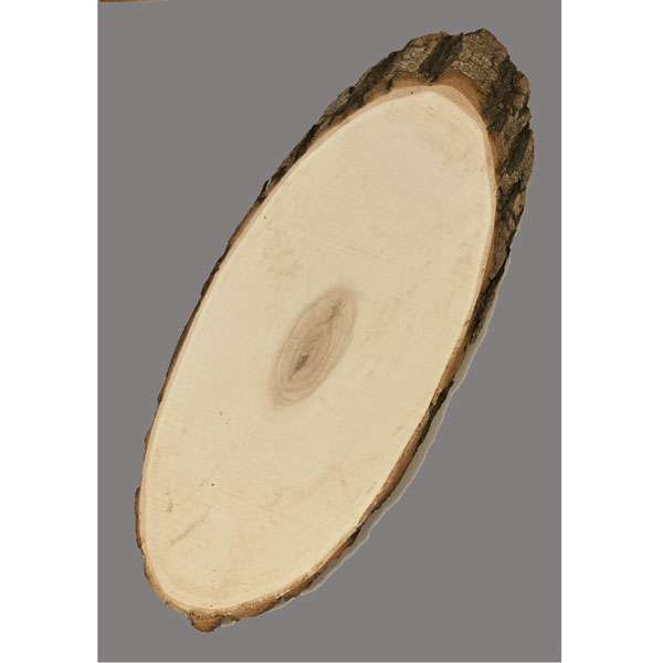 Oval Wood Slice