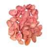 Pink Dyed Scallop Seashells Pack